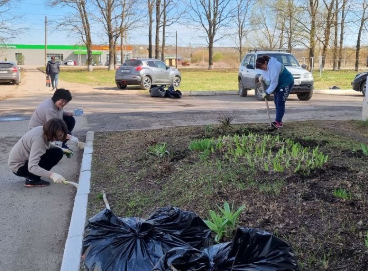 Почти 12 тысяч человек вышли на субботник в Туле Почти 12 тысяч человек вышли на субботник в Туле
