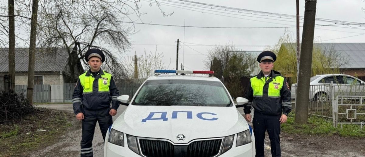 В Тульской области сотрудники ДПС помогли девушке справиться с пробитым колесом В Тульской области сотрудники ДПС помогли девушке справиться с пробитым колесом