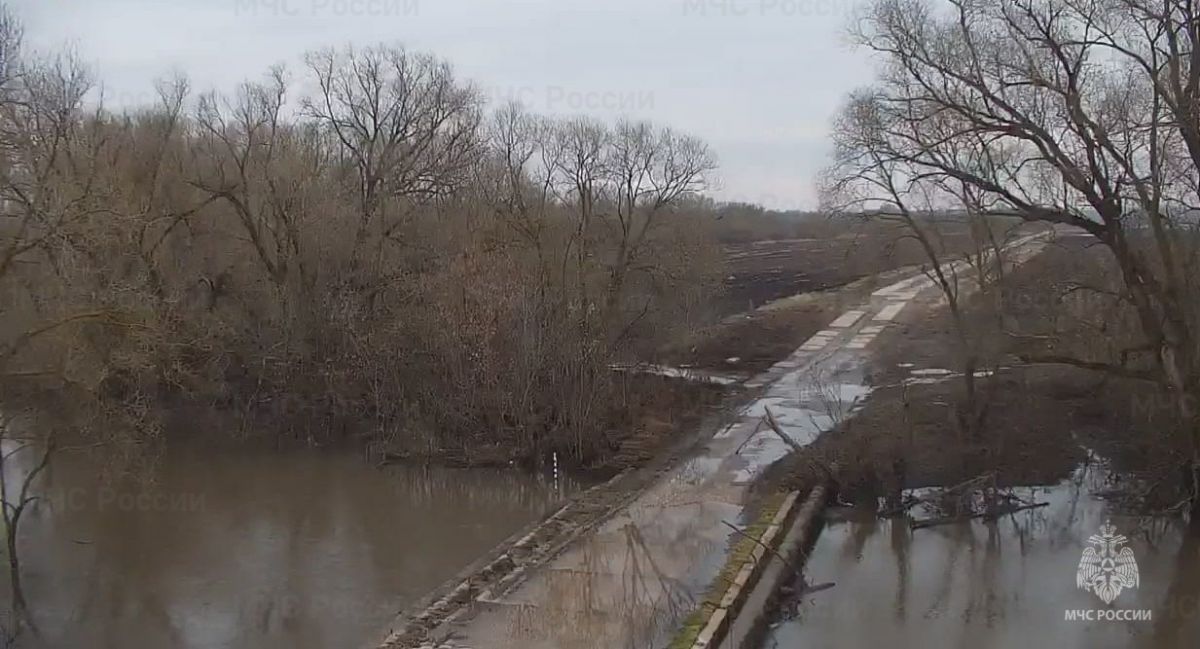 В Тульской области все подтопленные паводком объекты восстановят к 1 июля В Тульской области все подтопленные паводком объекты восстановят к 1 июля