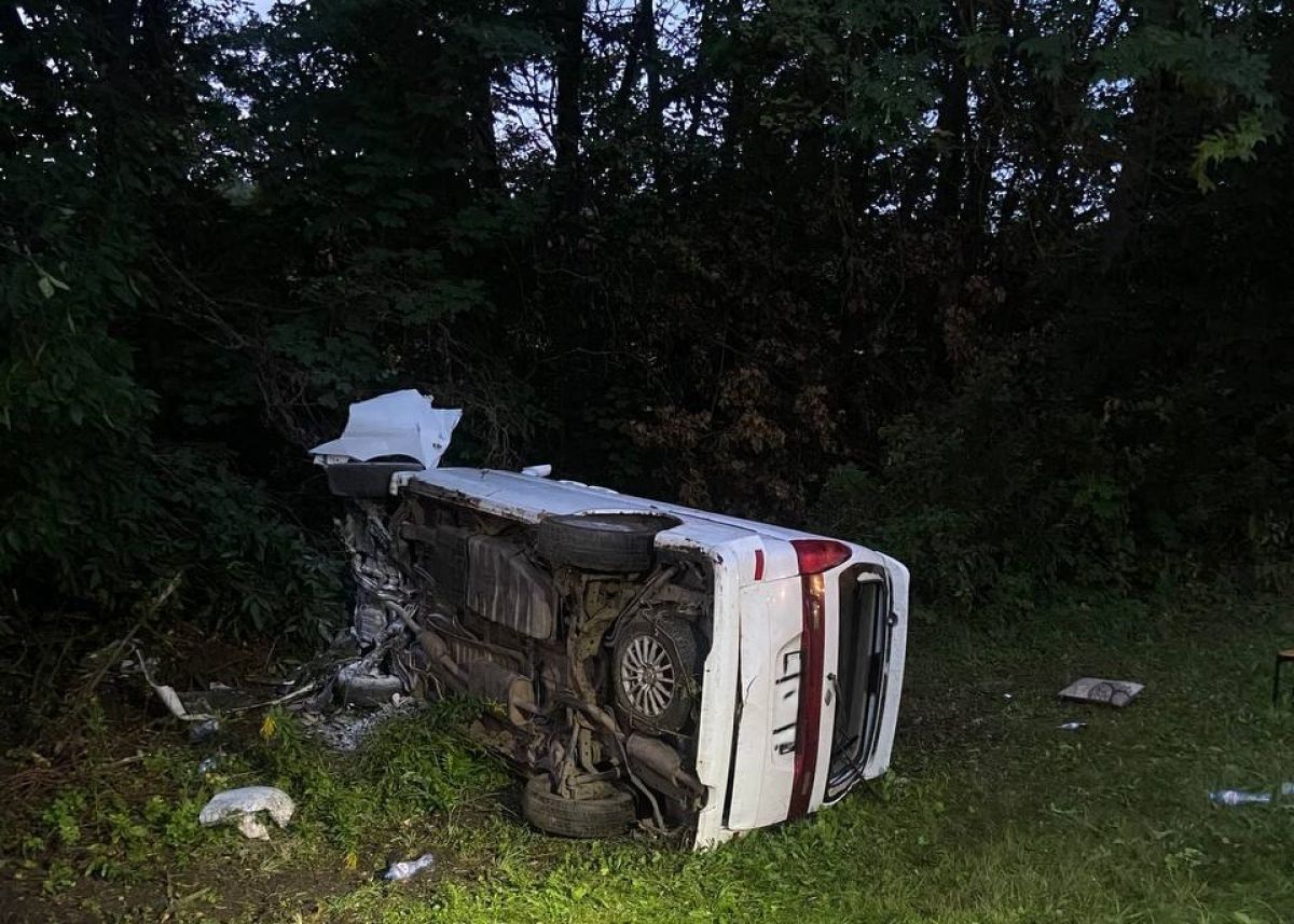 В Тульской области водитель заснул за рулем и врезался в дерево В Тульской области водитель заснул за рулем и врезался в дерево