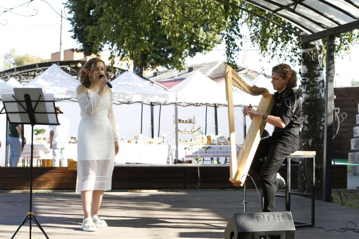 Жители Тулы послушали игру на арфе и посмотрели на белевское кружево Жители Тулы послушали игру на арфе и посмотрели на белевское кружево