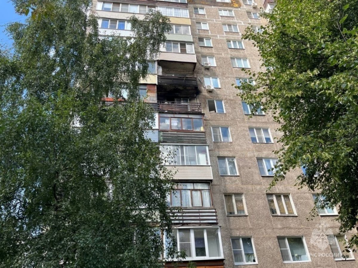 В Тульской области за сутки тушили квартиру, машину и дачу