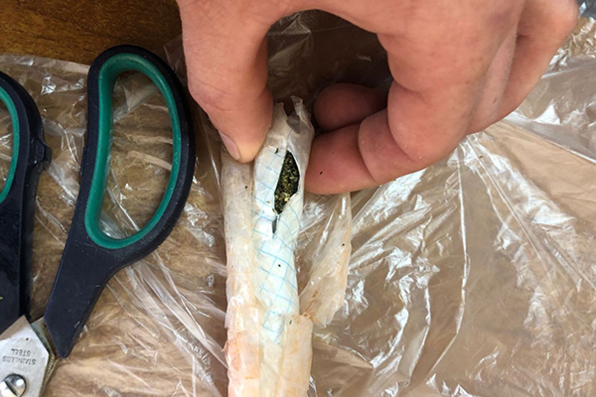 Иностранец попытался пронести наркотики в пакете из под сока в колонию в Тульской области Иностранец попытался пронести наркотики в пакете из под сока в колонию в Тульской области