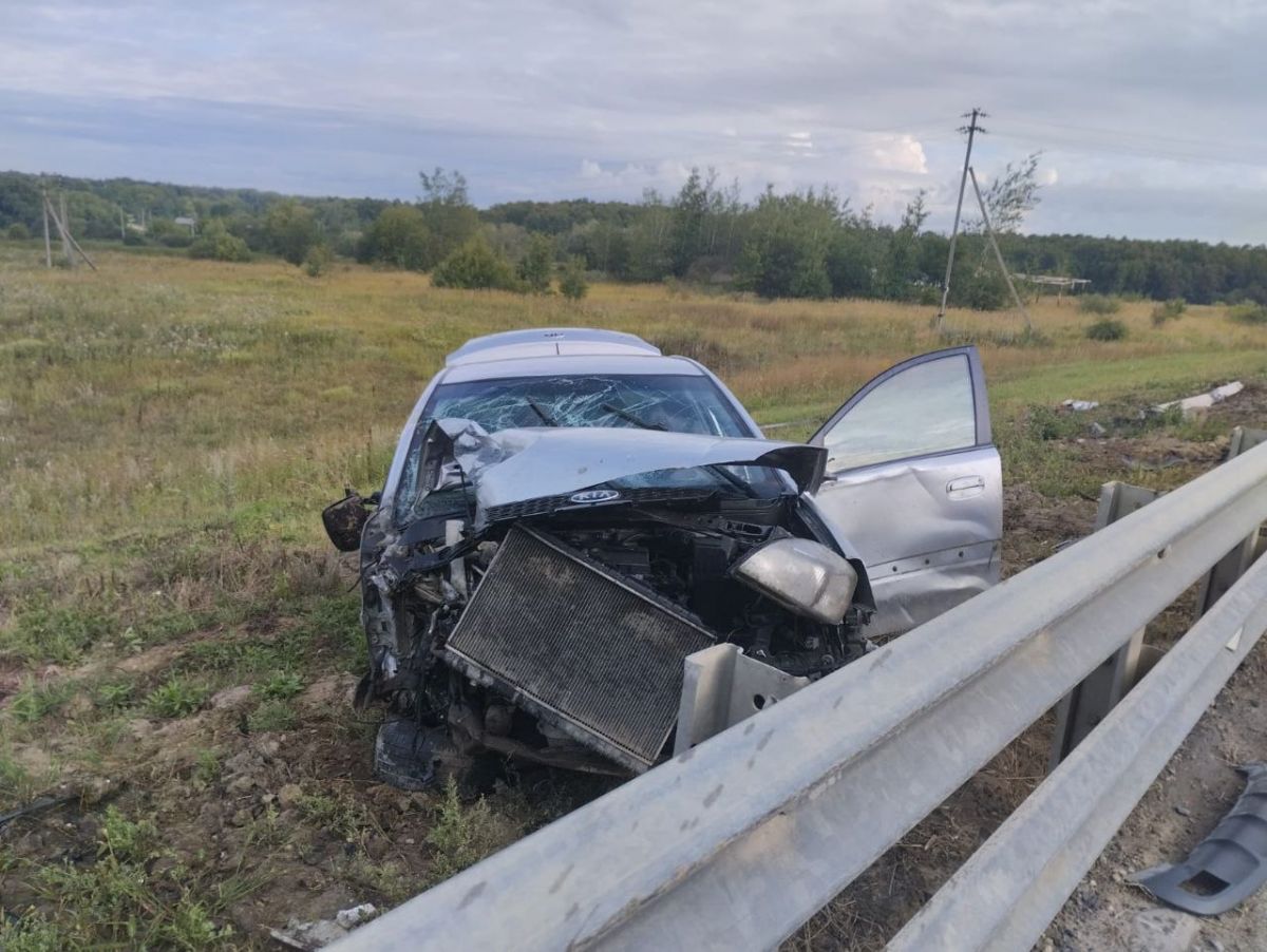 В Тульской области водитель «Киа Рио» врезался в столб