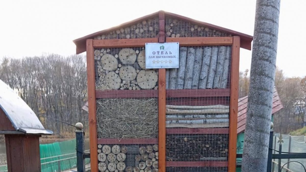 В Туле появился «отель» для насекомых В Туле появился «отель» для насекомых