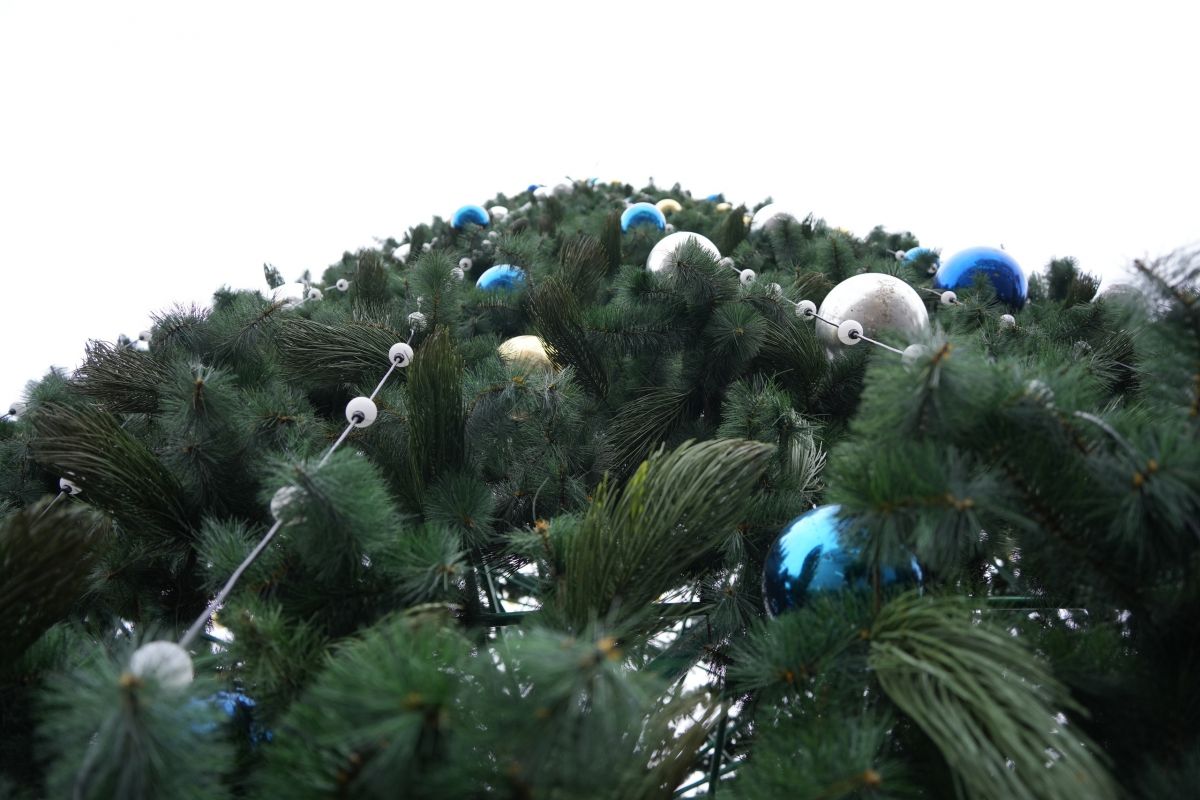 Как в Туле отметят Новый год