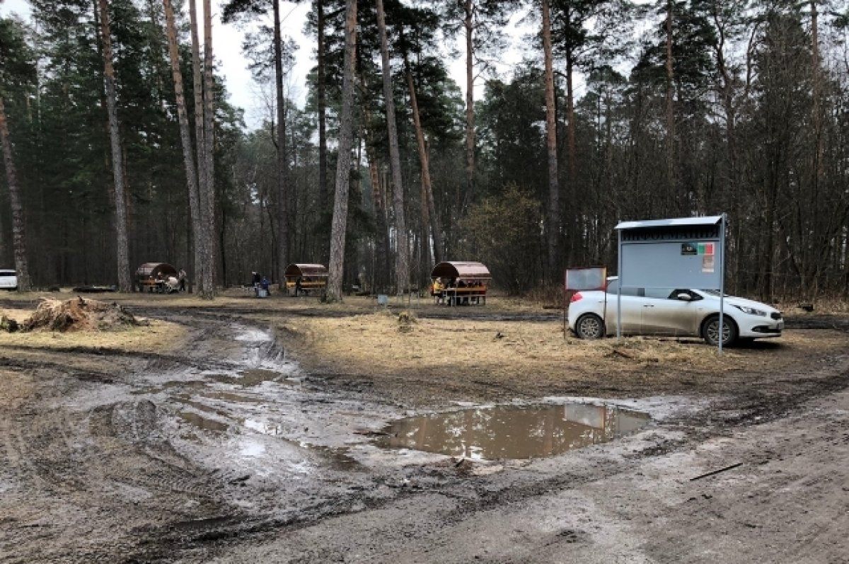 В «Алексин-боре» нашли два краснокнижных растения В «Алексин-боре» нашли два краснокнижных растения