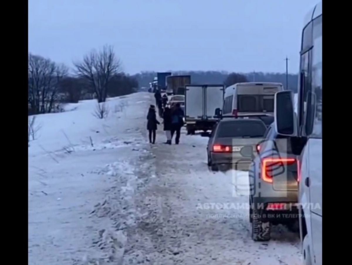 В Тульской области большегрузы перекрыли дорогу «Болохово-Шварц» В Тульской области большегрузы перекрыли дорогу «Болохово-Шварц»