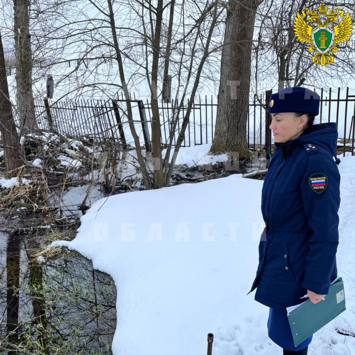 Жителей Киреевского района атаковали нечистоты