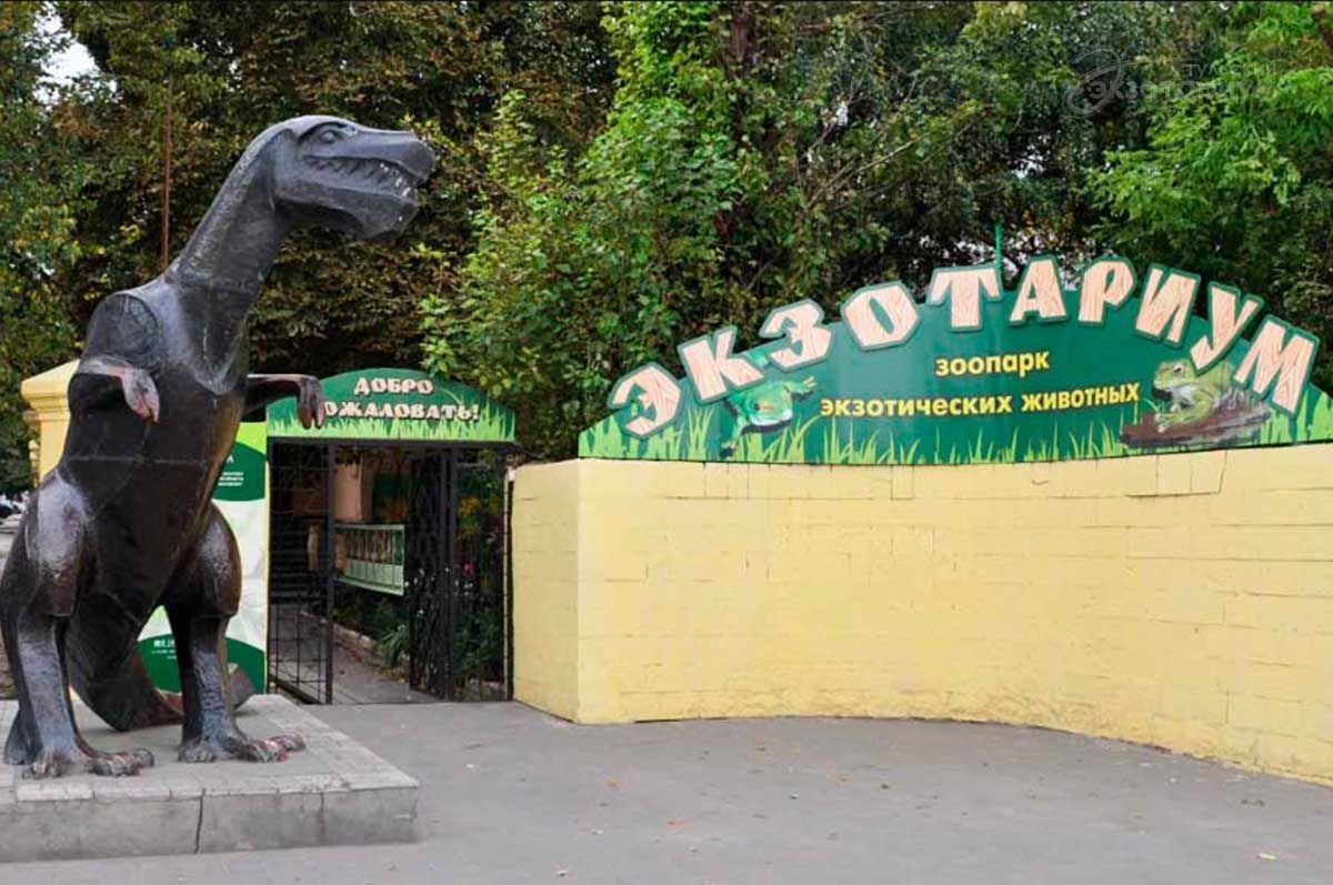 Чудеса на грани жизни и смерти в Тульском экзотариуме Чудеса на грани жизни и смерти в Тульском экзотариуме