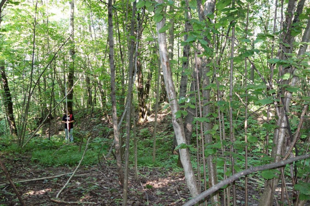«Потерянное» городище в Тульской области включено в перечень выявленных объектов культурного наследия «Потерянное» городище в Тульской области включено в перечень выявленных объектов культурного наследия