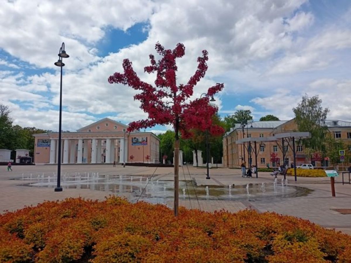 В Щекинском районе отремонтируют дороги и установят детские площадки В Щекинском районе отремонтируют дороги и установят детские площадки