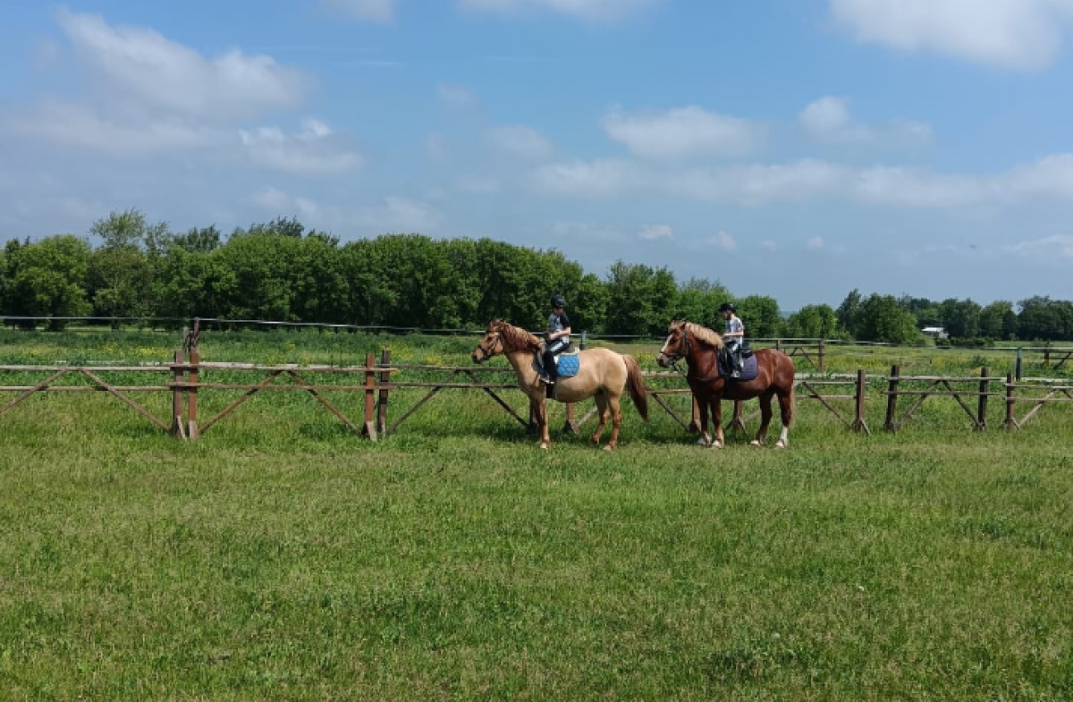 Новые обитатели Конного двора на Куликовом поле начали участвовать в мастер-классах Новые обитатели Конного двора на Куликовом поле начали участвовать в мастер-классах
