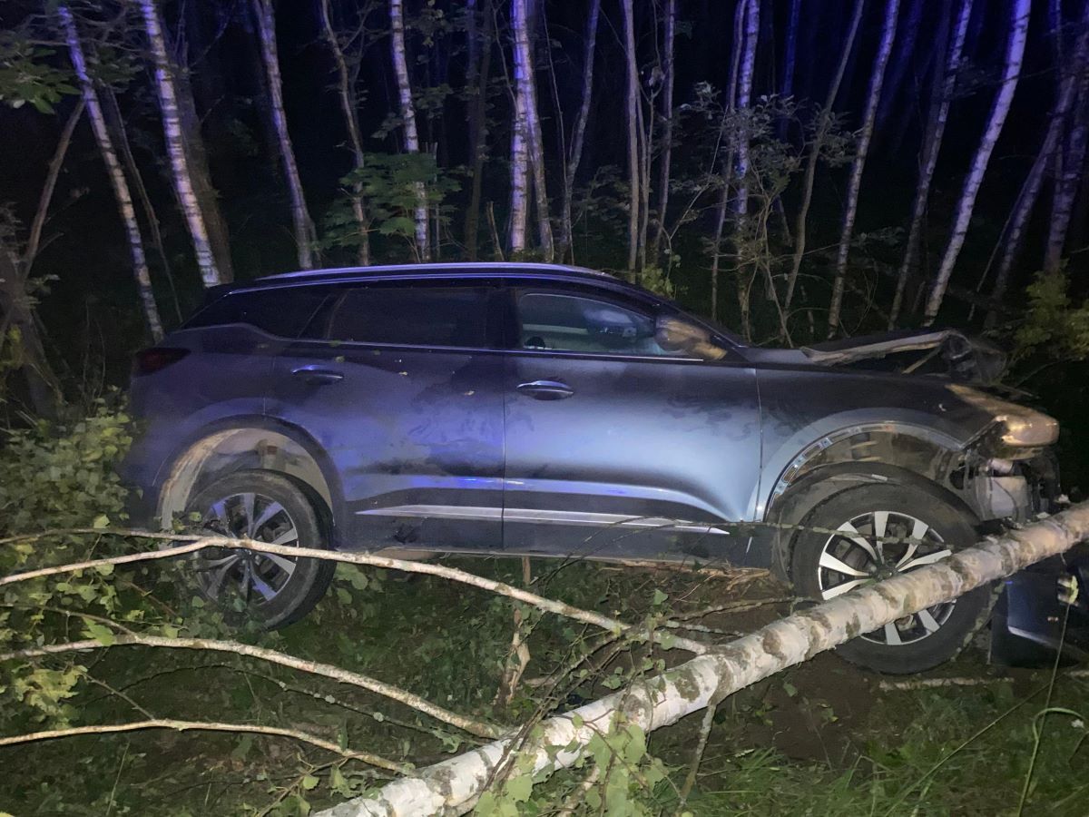 В Тульской области в оказавшемся в кювете кроссовере пострадали два человека В Тульской области в оказавшемся в кювете кроссовере пострадали два человека