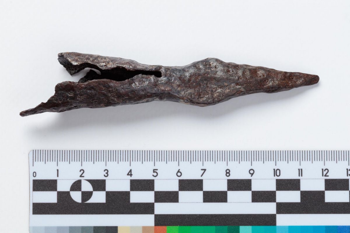 В Тульской области найдена уникальная реликвия времен Мамаева побоища В Тульской области найдена уникальная реликвия времен Мамаева побоища