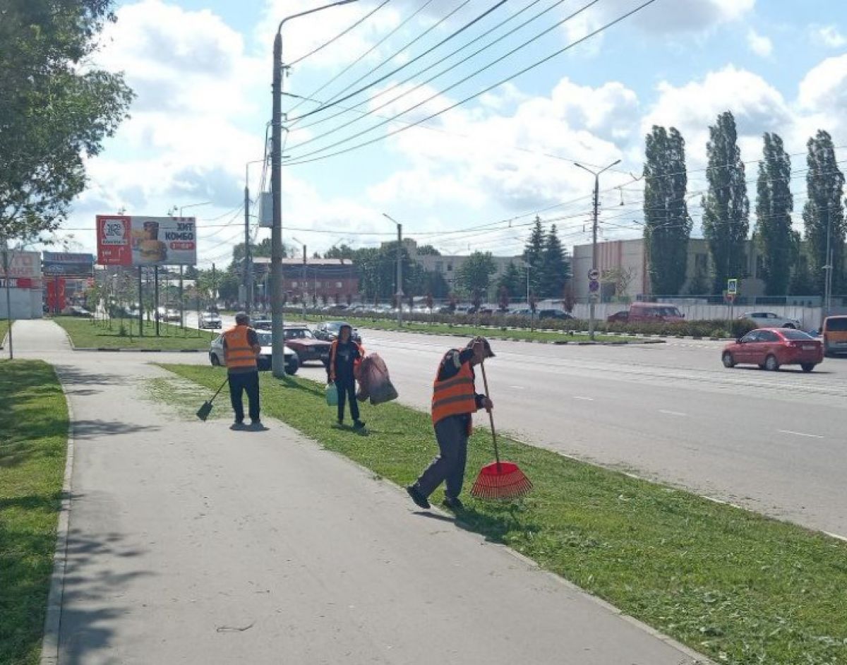 В оружейной столице ведется активная борьба с травостоем В оружейной столице ведется активная борьба с травостоем