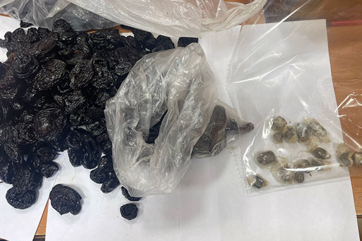 Чернослив с сюрпризом обнаружили в исправительной колонии Тульской области Чернослив с сюрпризом обнаружили в исправительной колонии Тульской области