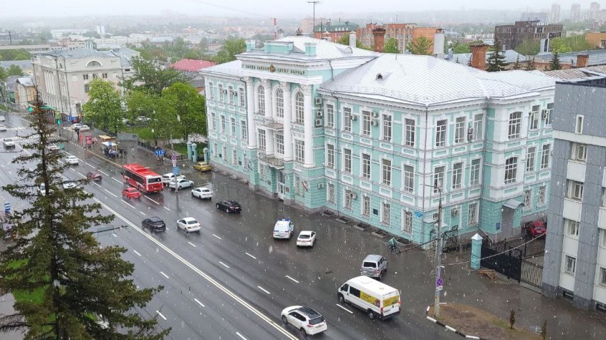 В Туле выпал майский снег В Туле выпал майский снег