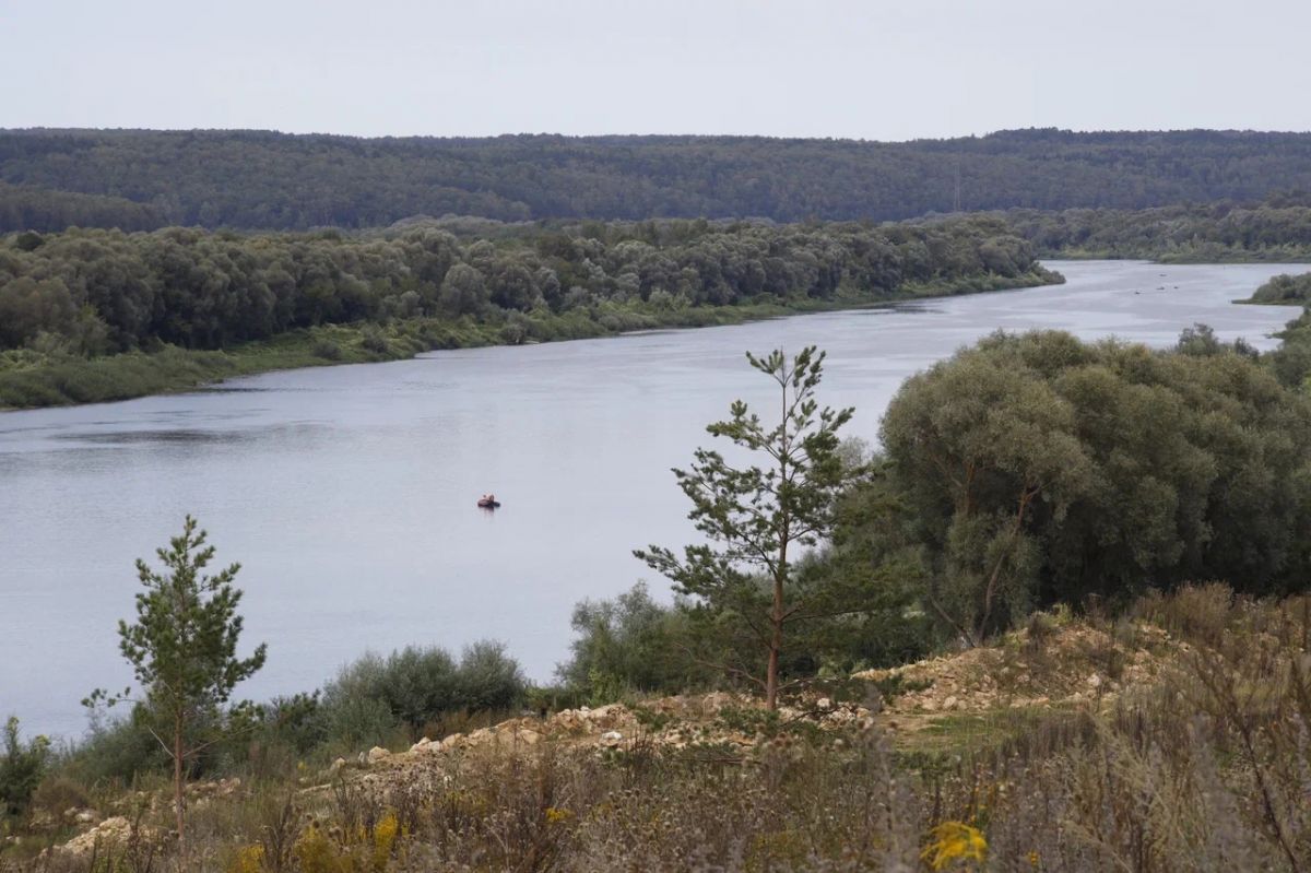 В Тульской области часть береговой линии Оки перешла государству из частной собственности