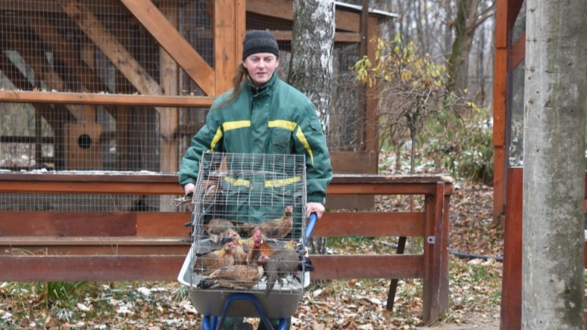 В Туле зооуголок переходит на «зимний режим»