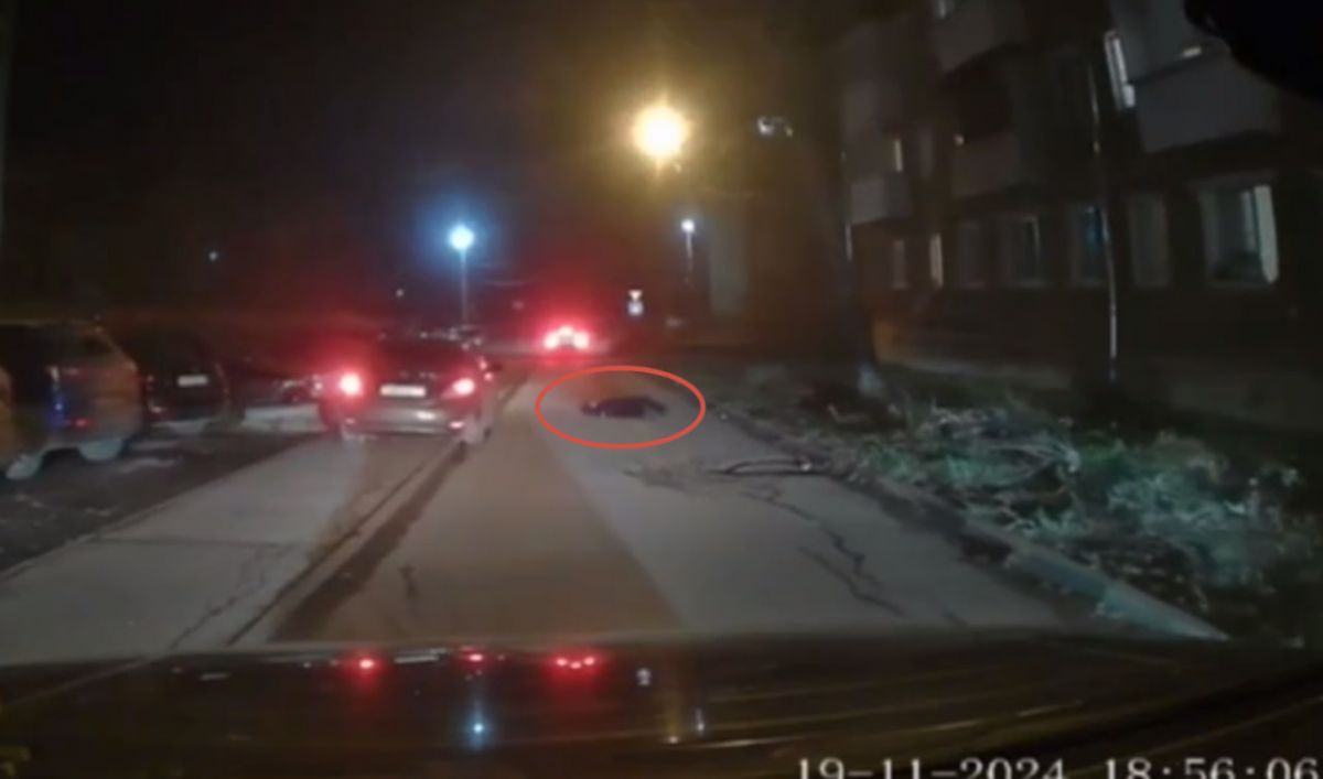 В Туле заметили мужчину, лежащего на проезжей части