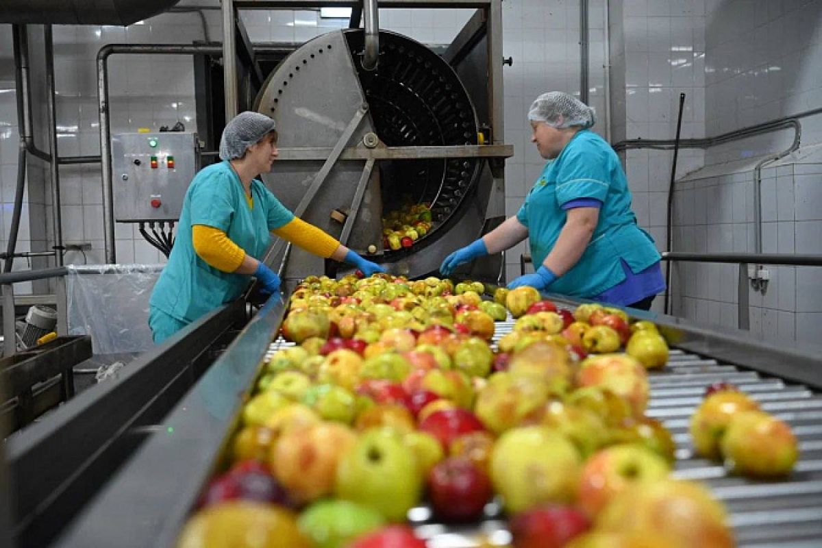 В Белеве производят 450 тонн пастилы и не менее 200 тысяч тонн зефира в месяц