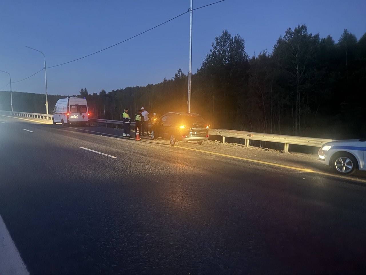 Два человека пострадали после столкновения автомобиля с лосем в Тульской области Два человека пострадали после столкновения автомобиля с лосем в Тульской области