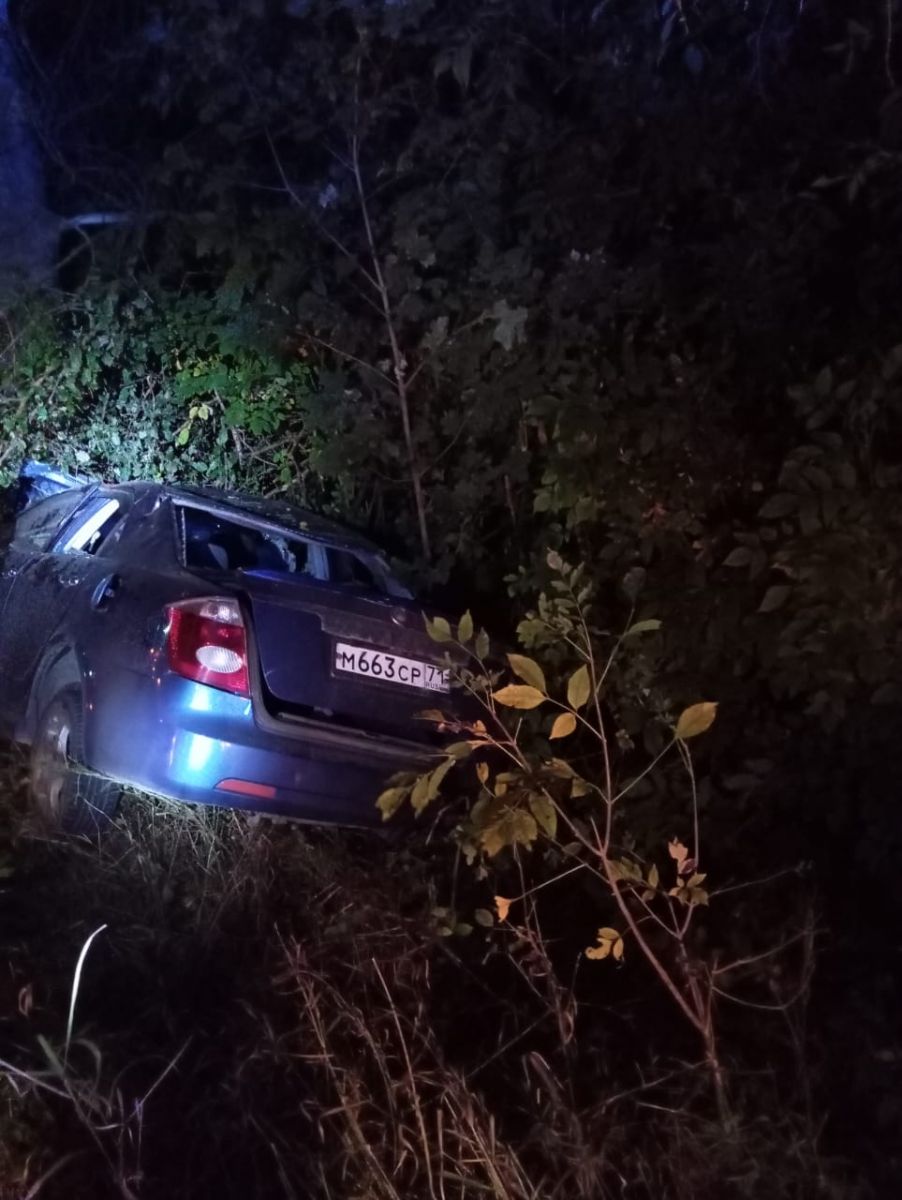В Тульской области иномарка снова встретилась с лосем: водитель погиб на месте происшествия