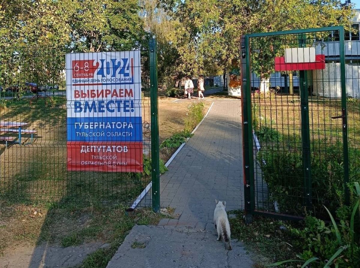 В Тульской области на избирательные участки приходят кошки и собаки В Тульской области на избирательные участки приходят кошки и собаки