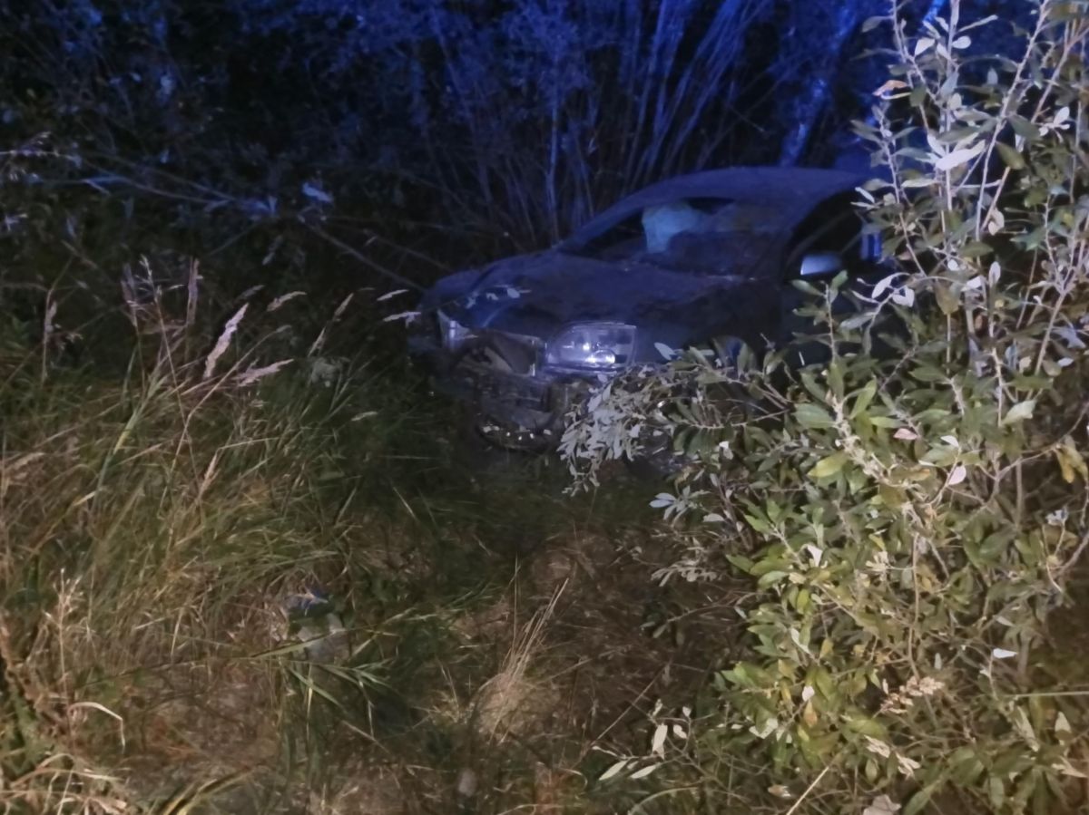 В Тульской области неуправляемая иномарка вылетела с дороги: водитель погиб на месте В Тульской области неуправляемая иномарка вылетела с дороги: водитель погиб на месте