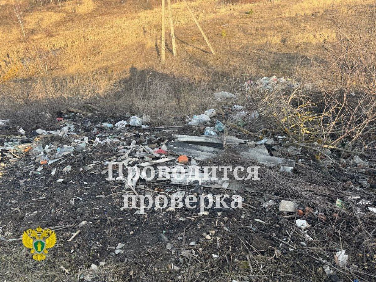 В Тульской области прокуратура выявила несанкционированную свалку строительных и бытовых отходов