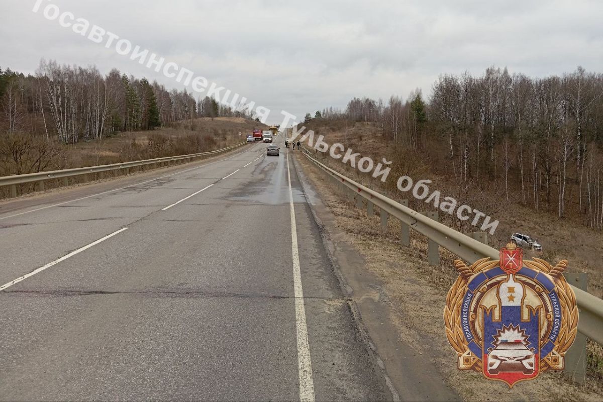 В Тульской области пьяный водитель выехал сначала на встречку, а затем в кювет В Тульской области пьяный водитель выехал сначала на встречку, а затем в кювет