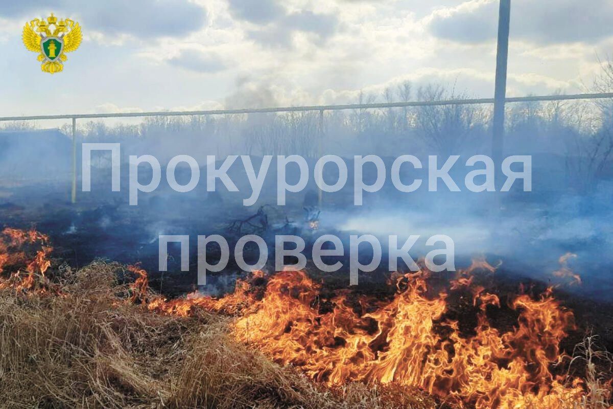 Тульская прокуратура проанализировала профилактическую работу администраций города в пожароопасный период