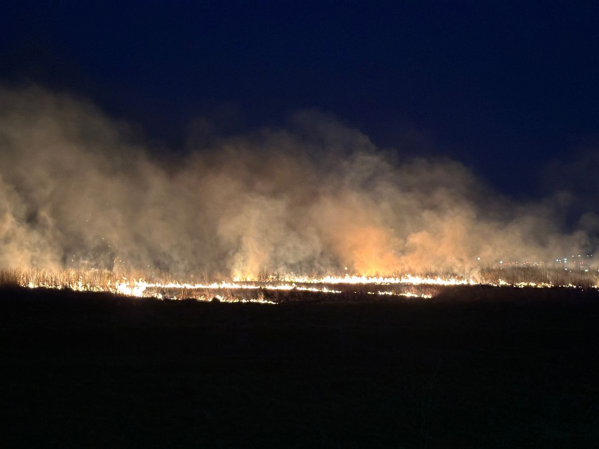 В Тульской области ближайшие три дня ожидается высокая вероятность пожаров В Тульской области ближайшие три дня ожидается высокая вероятность пожаров