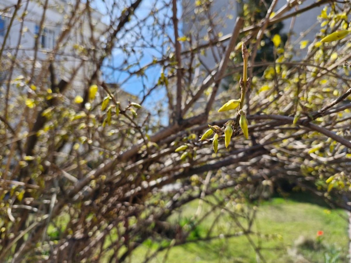 Днем 21 апреля в Тульской области будет жарко Днем 21 апреля в Тульской области будет жарко