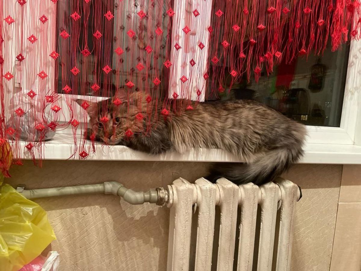 В тульских многоквартирных домах завершается отопительный сезон В тульских многоквартирных домах завершается отопительный сезон