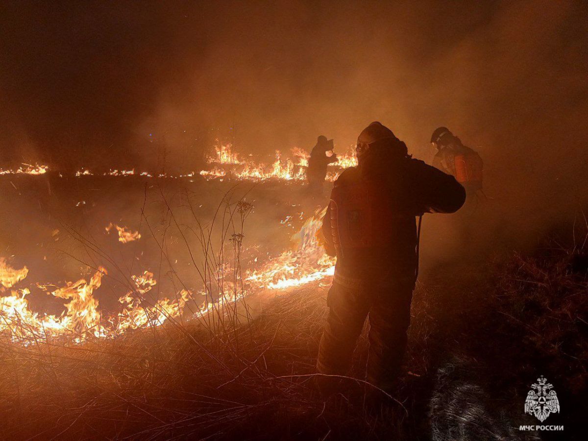 За сутки в Тульской области зарегистрировано 94 факта горения сухой травы За сутки в Тульской области зарегистрировано 94 факта горения сухой травы