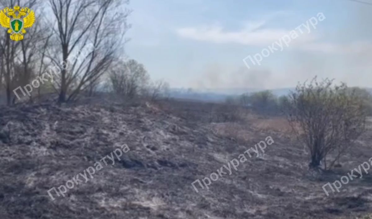 В Тульской области жители деревни самостоятельно боролись с ландшафтным огнем до прибытия пожарных В Тульской области жители деревни самостоятельно боролись с ландшафтным огнем до прибытия пожарных