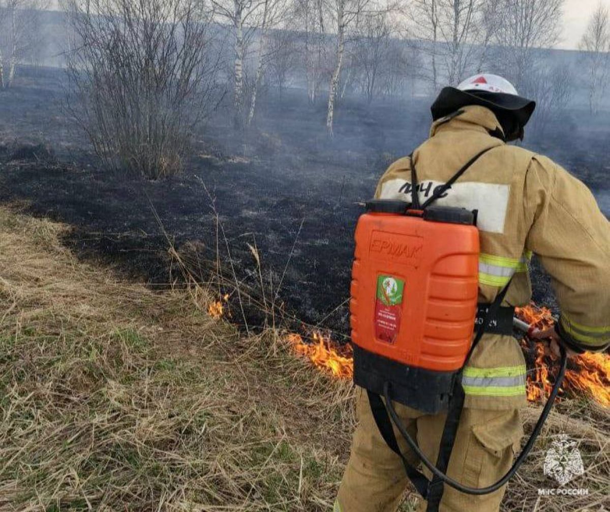В Тульской области поджигателей сухой травы уже оштрафовали на 565 тысяч рублей