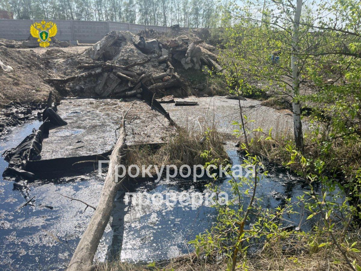 В Тульской области в резервуаре с битумом нашли собак В Тульской области в резервуаре с битумом нашли собак