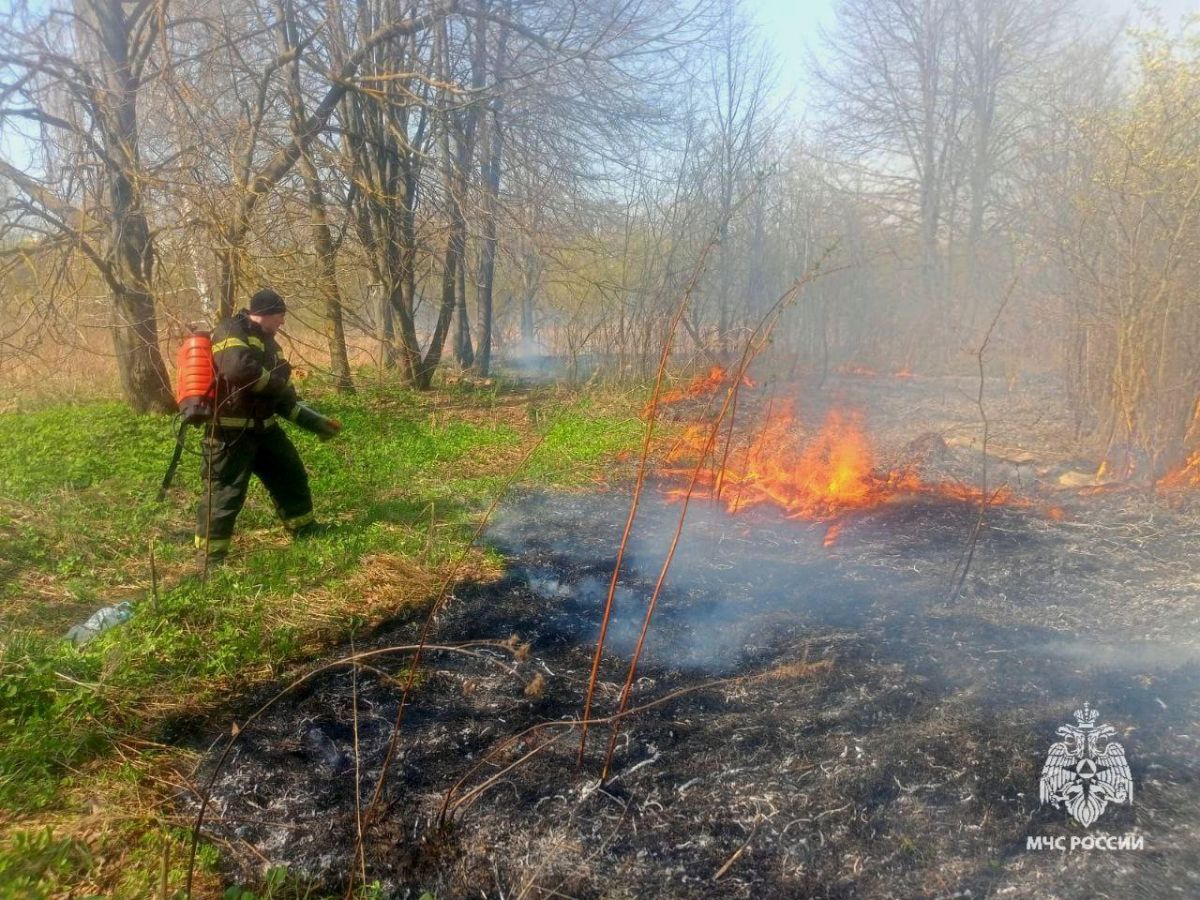 Тульские пожарные за минувшие сутки тушили 38 горений травы Тульские пожарные за минувшие сутки тушили 38 горений травы