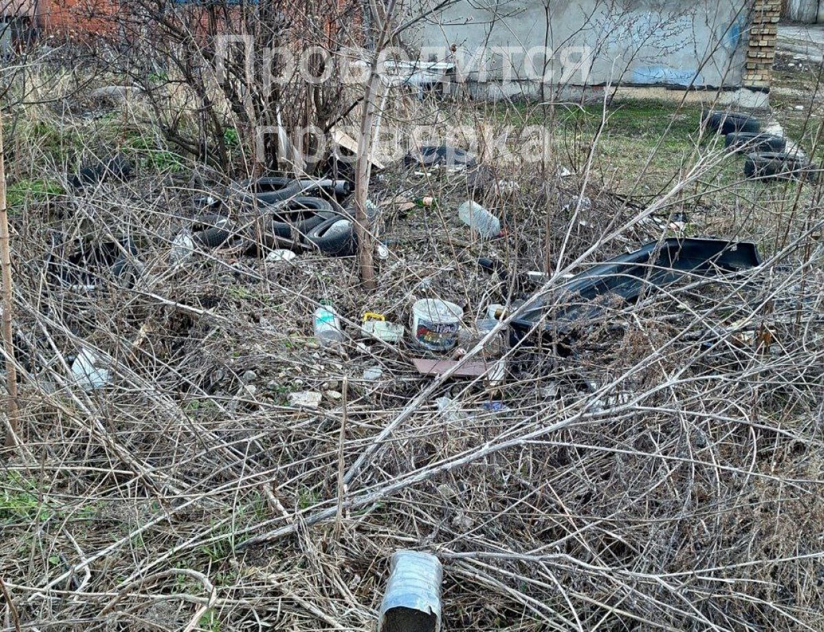 Прокуратура обратила внимание на стихийную свалку в Щекине Прокуратура обратила внимание на стихийную свалку в Щекине