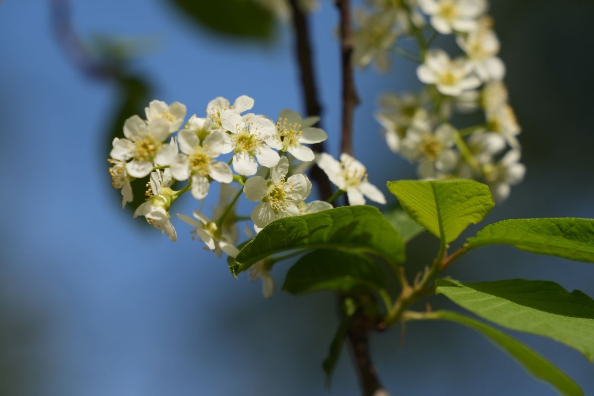 Аллергикам из Тульской области посоветовали носить маски Аллергикам из Тульской области посоветовали носить маски