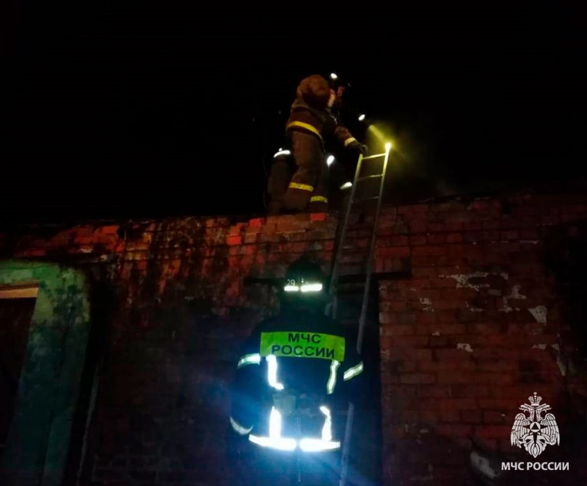Все пожары в Тульской области за прошедшие сутки обошлись без пострадавших Все пожары в Тульской области за прошедшие сутки обошлись без пострадавших