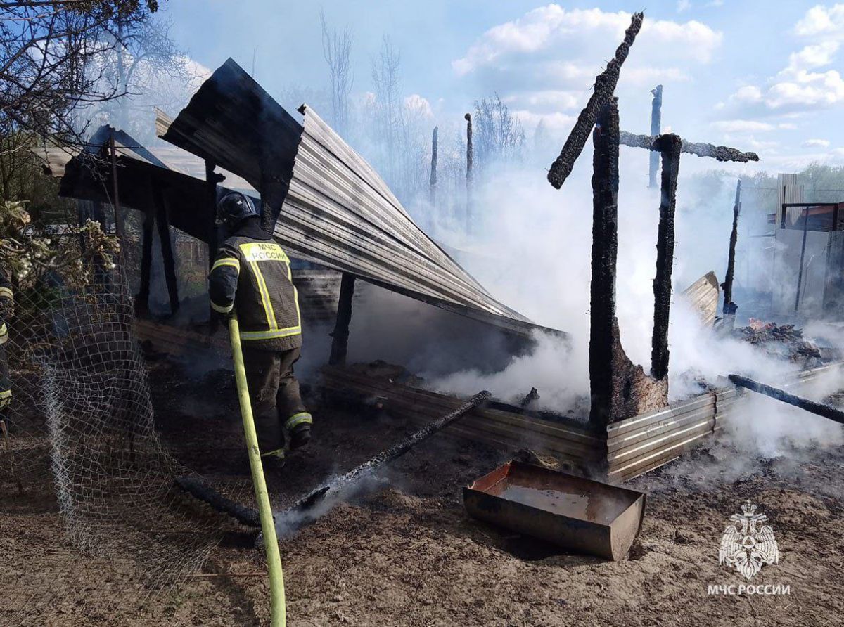 В Тульской области за сутки потушили пять пожаров