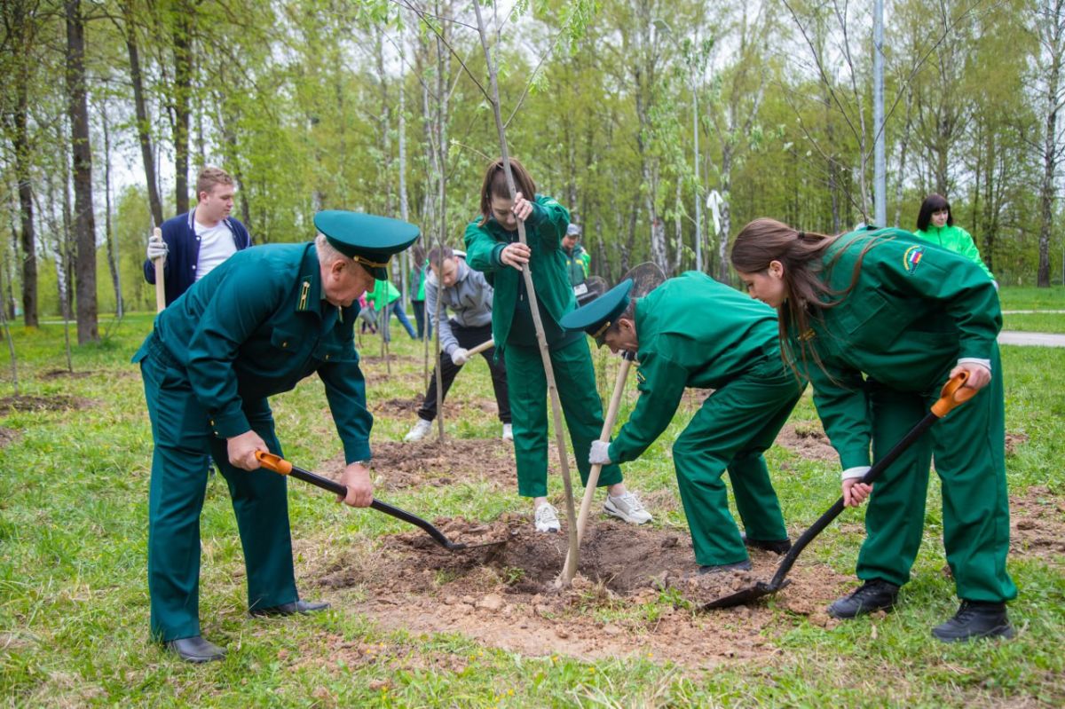 В тульском парке появился «Сад памяти» В тульском парке появился «Сад памяти»
