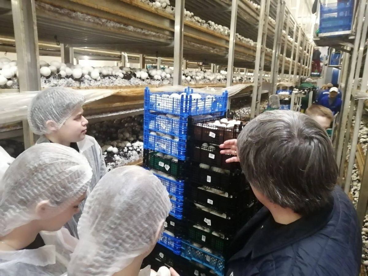 Тульские школьники познакомились с технологией выращивания шампиньонов Тульские школьники познакомились с технологией выращивания шампиньонов