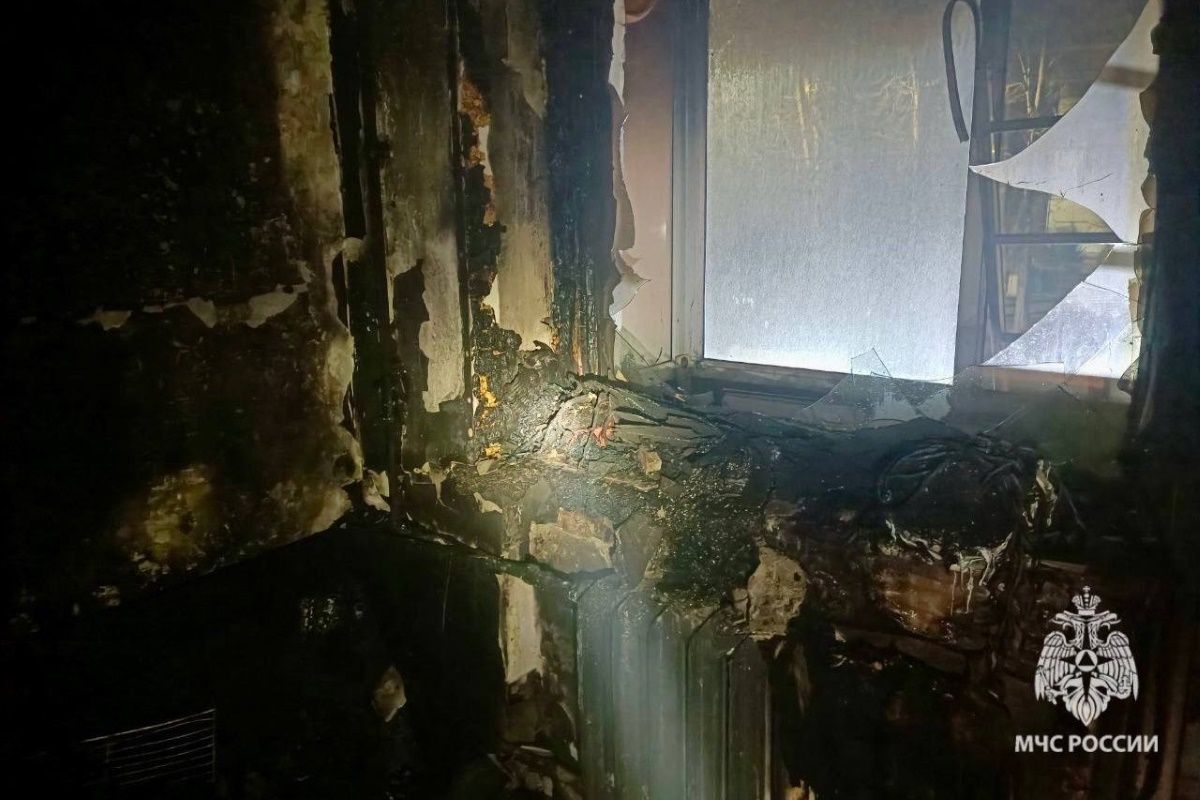 Пять пожаров потушили спасатели из Тульской области накануне Пять пожаров потушили спасатели из Тульской области накануне