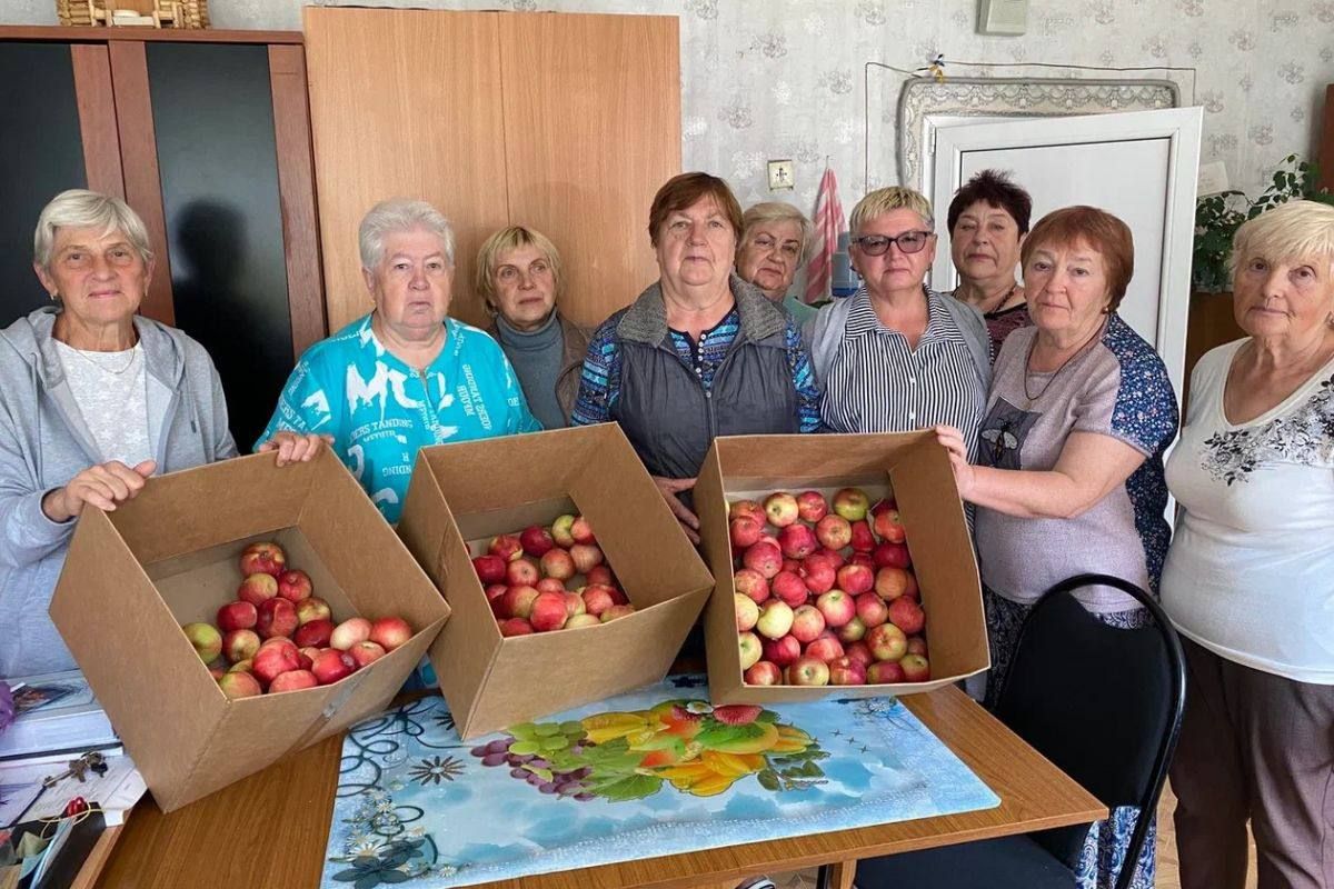Никита Бурвиков передал около 30 килограммов яблок тульским активистам Никита Бурвиков передал около 30 килограммов яблок тульским активистам