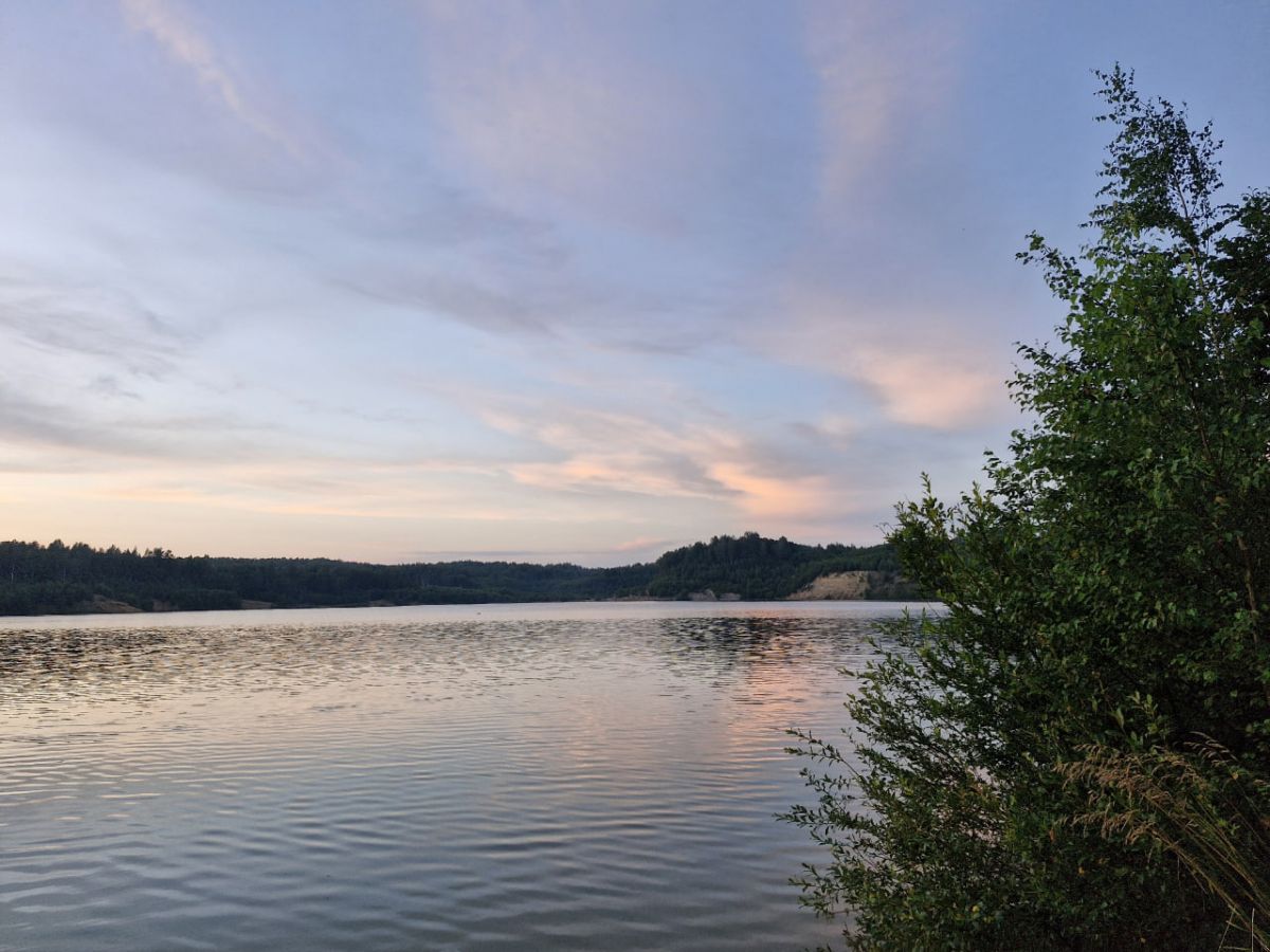 Рыбака из Тульской области оштрафовали после ловли карпов, окуней и стерляди Рыбака из Тульской области оштрафовали после ловли карпов, окуней и стерляди